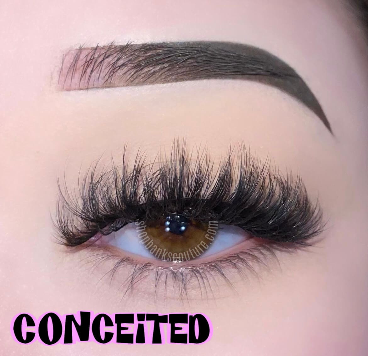 Conceited Lashes ☆