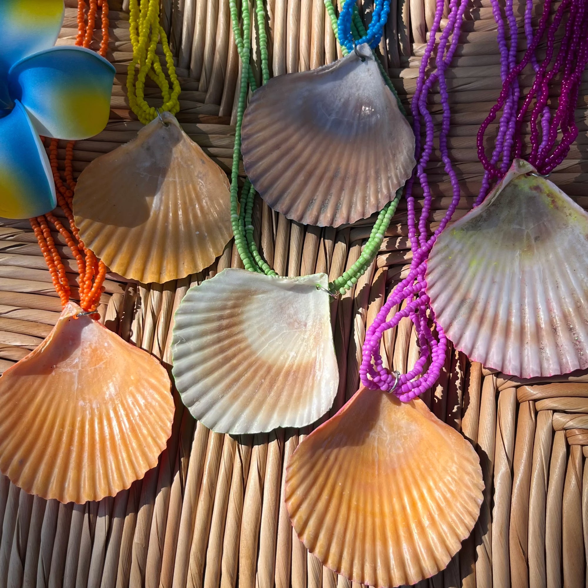 Caribbean shell necklaces